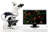 Microscopios DM2500 & DM2500 LED