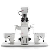 Microscopios DMi8 para (Micromanipulaci�n)
