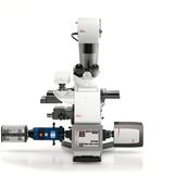Microscopios DMi8 para Imagen Ratiom�trica