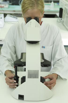 Microscopio DM1000 Leica 