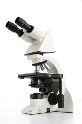 Microscopio DM1000 Leica 